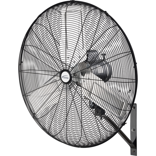 Oscillating Wall Fan, Industrial, 30" Dia., 2 Speeds