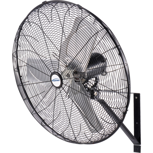 Waterproof Motor Misting & Oscillating Pedestal Fan, Industrial, 30" Dia., 3 Speeds