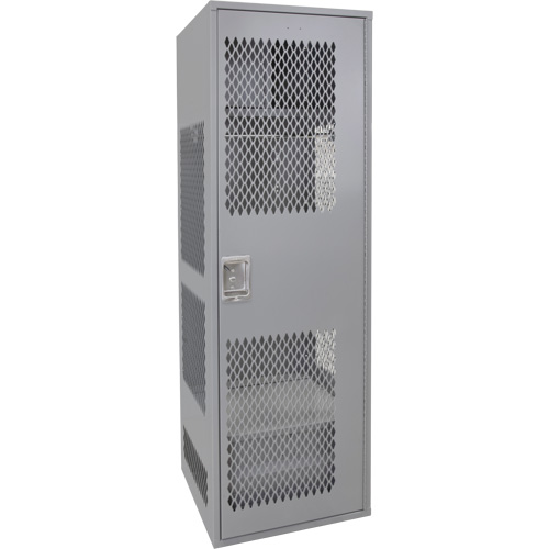Gear Locker with Door, Steel, 24" W x 24" D x 72" H, Grey