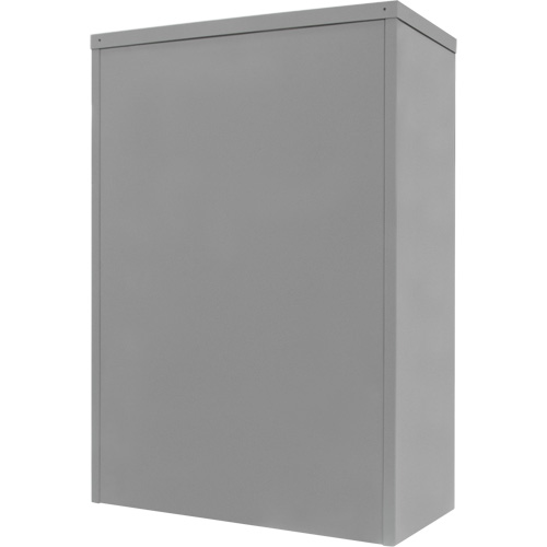 Counter-High Storage Cabinet