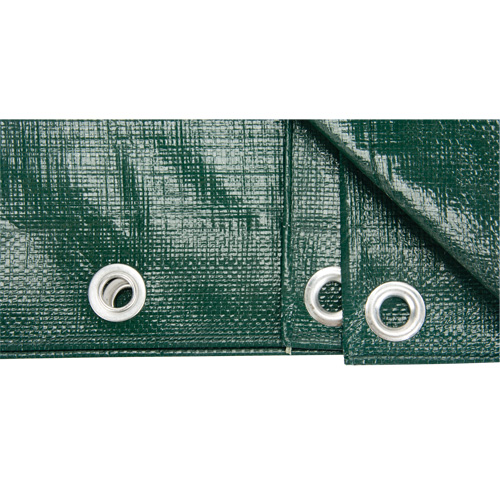 Tarp