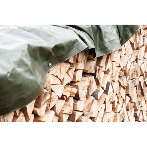 Tarp