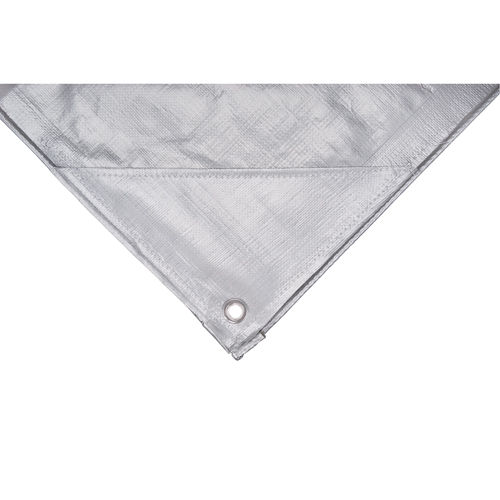 Tarp