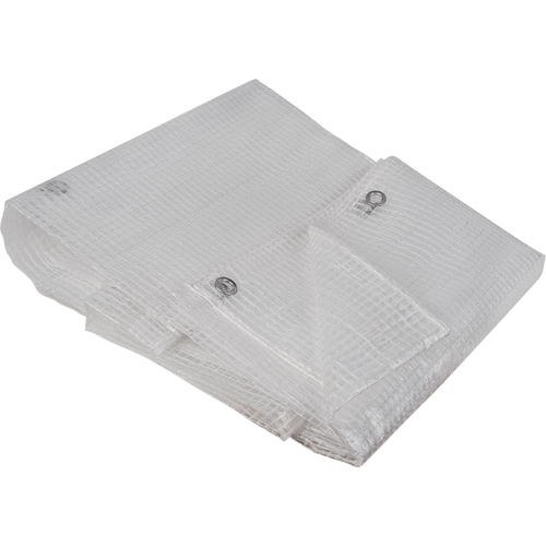 Clear Tarp, 40' x 30' x 8 mils