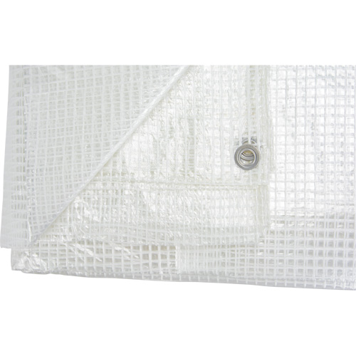 Clear Tarp