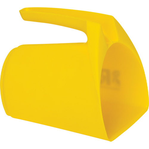Salt & Sand Scoop