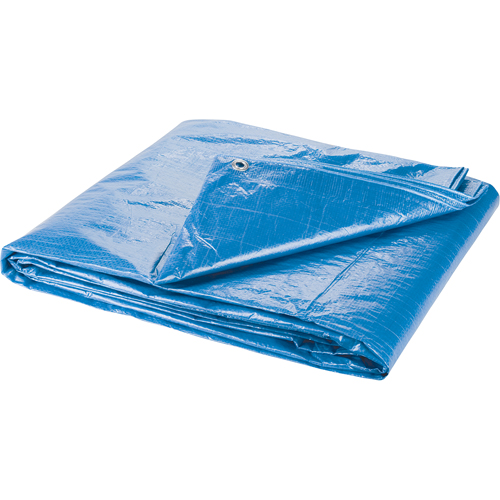 Tarp, Standard Duty, Blue, 7' x 5' x 4 mils