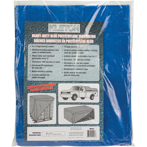 Tarp