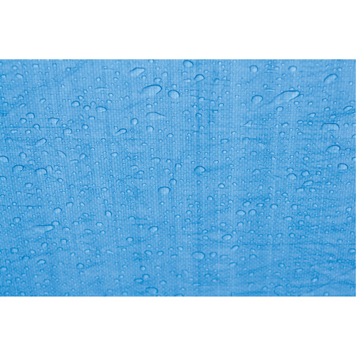 Tarp