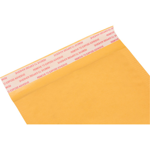 Bubble Shipping Mailer