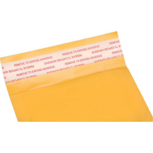 Bubble Shipping Mailer