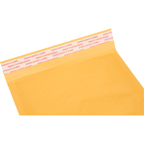 Bubble Shipping Mailer