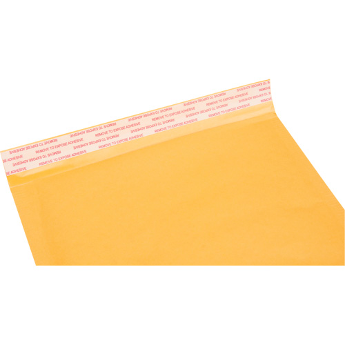 Bubble Shipping Mailer