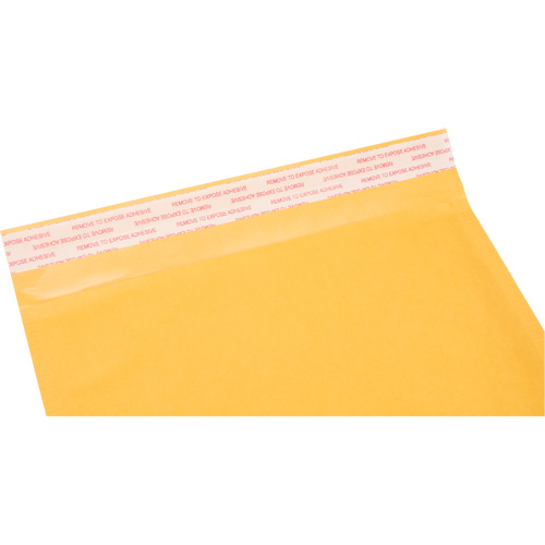 Bubble Shipping Mailer