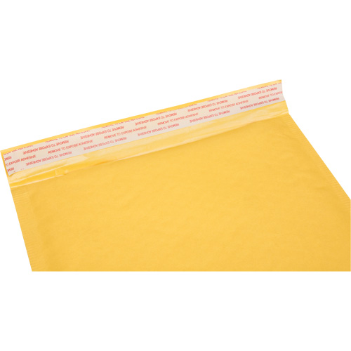 Bubble Shipping Mailer