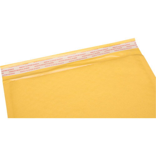 Bubble Shipping Mailer
