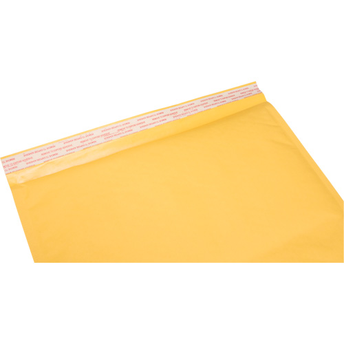 Bubble Shipping Mailer