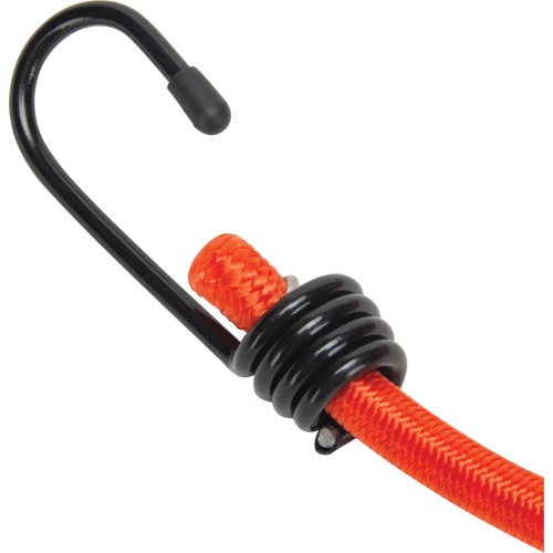 Bungee Cord Tie Downs
