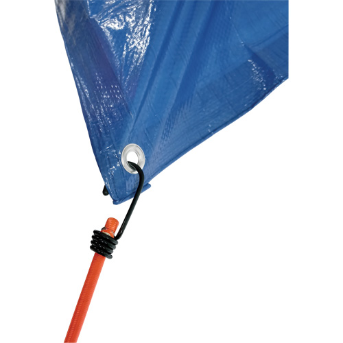 Bungee Cord Tie Downs