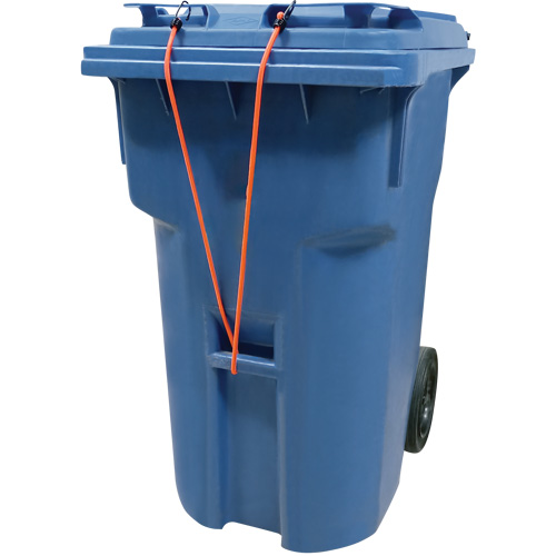 Bungee Cord Tie Downs
