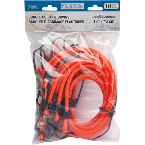 Bungee Cord Tie Downs