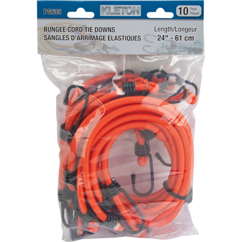 Bungee Cord Tie Downs