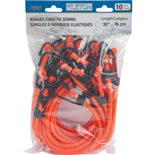 Bungee Cord Tie Downs