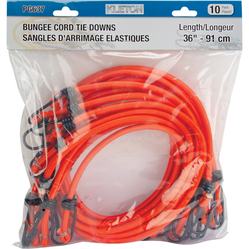 Bungee Cord Tie Downs