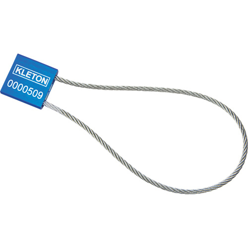 High Security Security Seal
