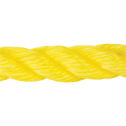 Braided Yellow Rope