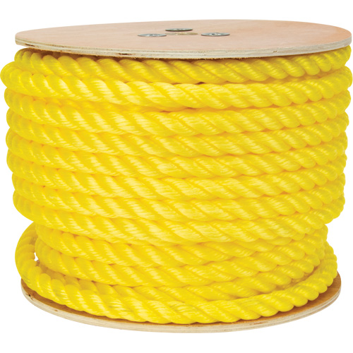Braided Yellow Rope, Polypropylene, 144'