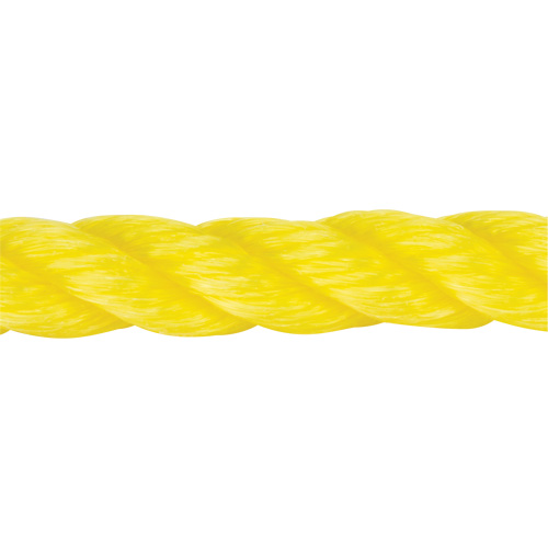 Braided Yellow Rope