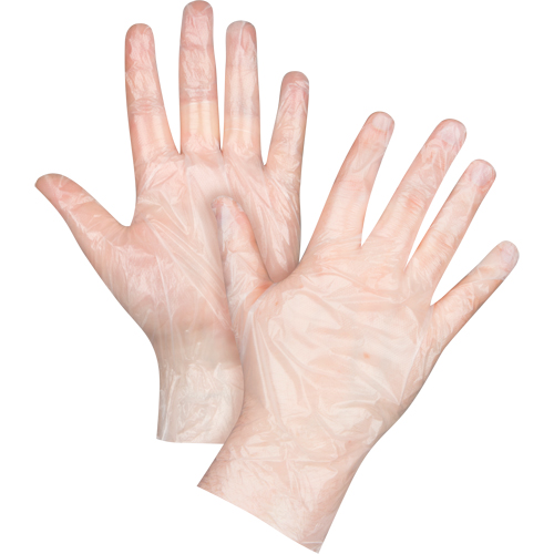 Economy Disposable Gloves, Large, Polyethylene, 1-mil, Powder-Free, Clear