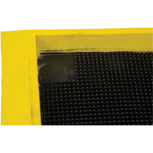 Foot Sanitizing Matting