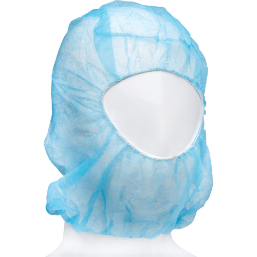 Disposable Hood
