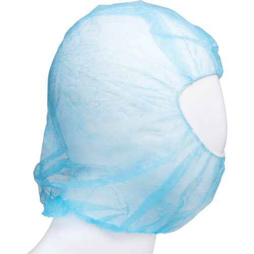 Disposable Hood