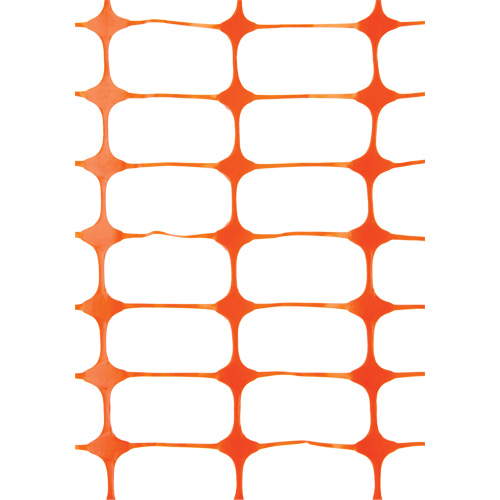 Snow Fence
