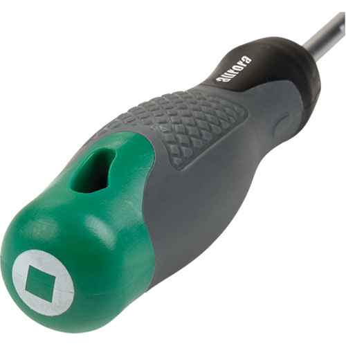 Square Tip Screwdriver