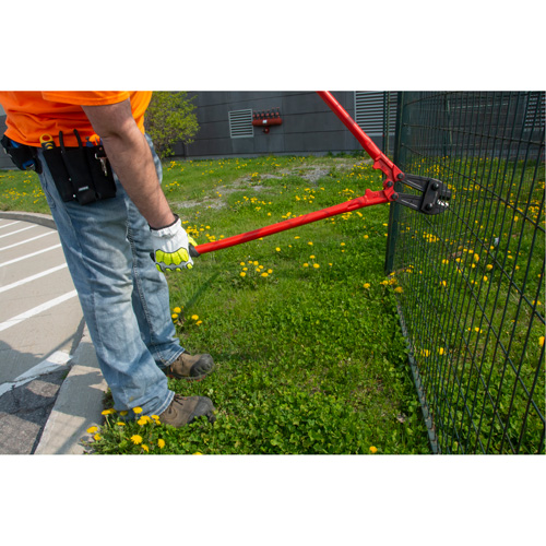 Bolt Cutters