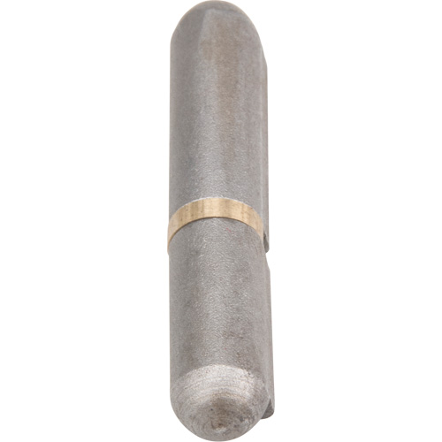 Weld-On Hinge