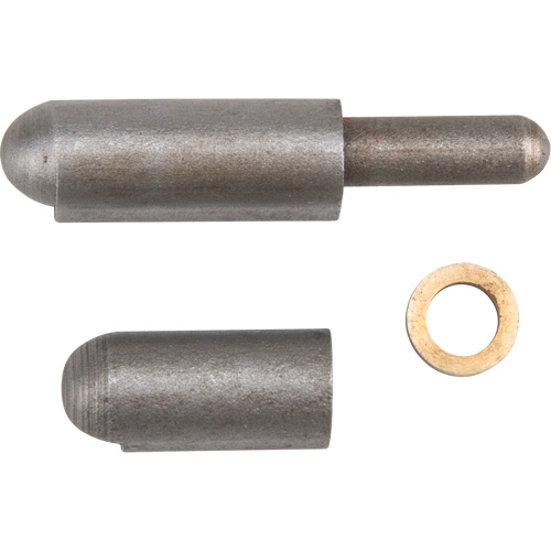Weld-On Hinge