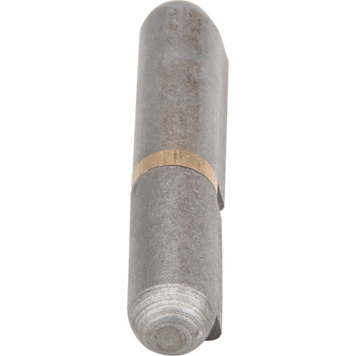 Weld-On Hinge