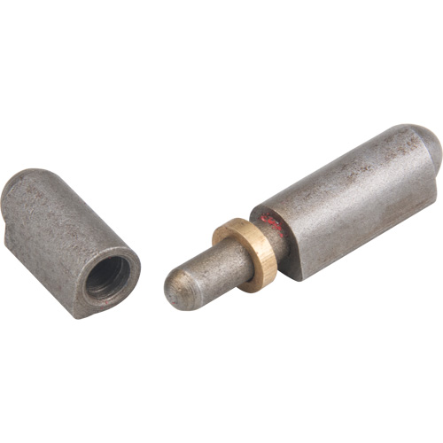 Weld-On Hinge