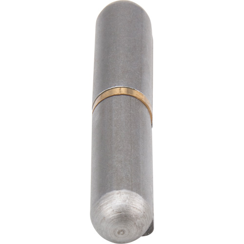Weld-On Hinge