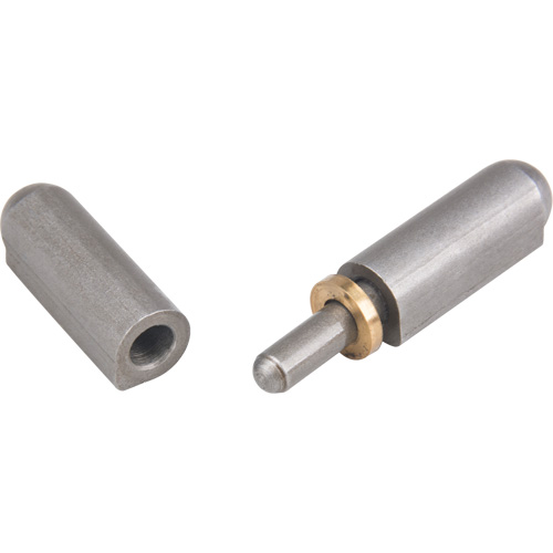 Weld-On Hinge