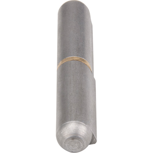 Weld-On Hinge