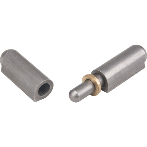 Weld-On Hinge