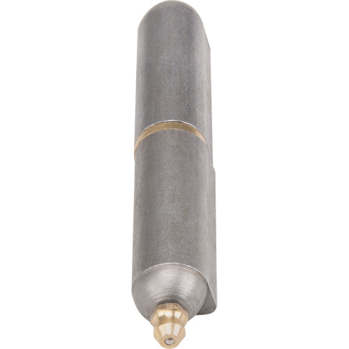Weld-On Hinge