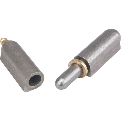 Weld-On Hinge