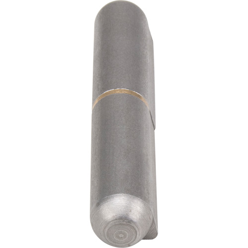 Weld-On Hinge